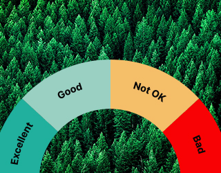 Impact scale